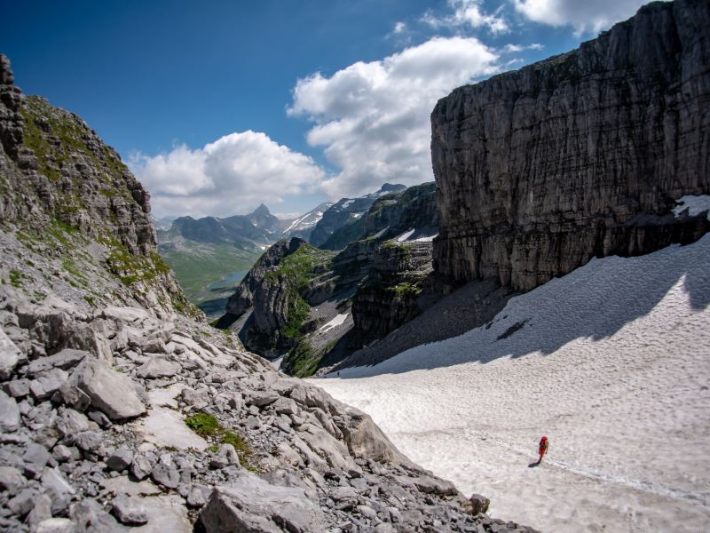 Der lange Weg