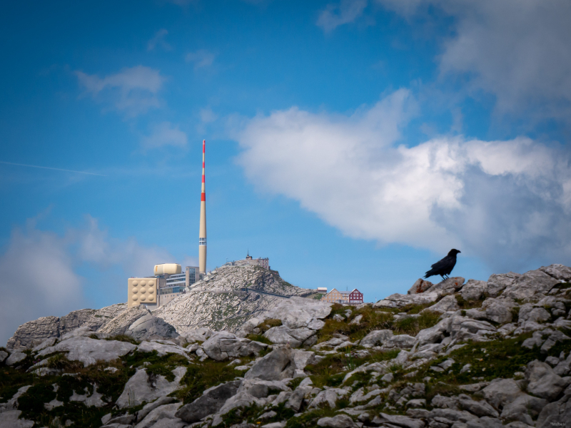 Säntis and the Bird