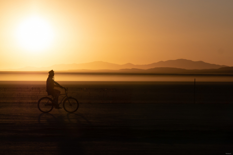 Into the Dessert