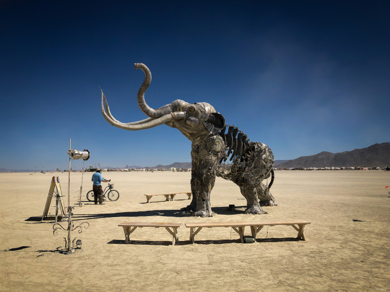 The Monumental Mammoth