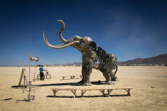 The Monumental Mammoth
