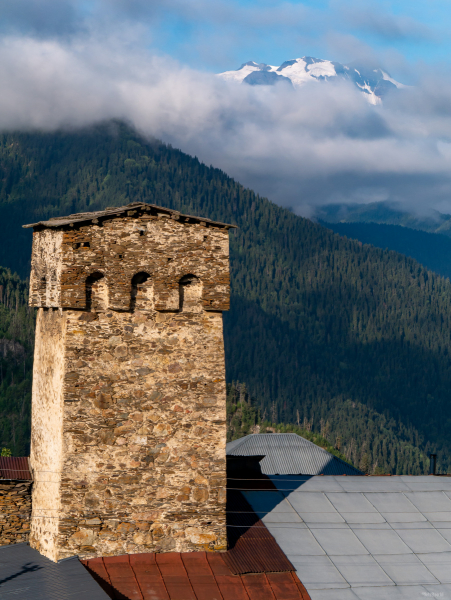 Tower with a View