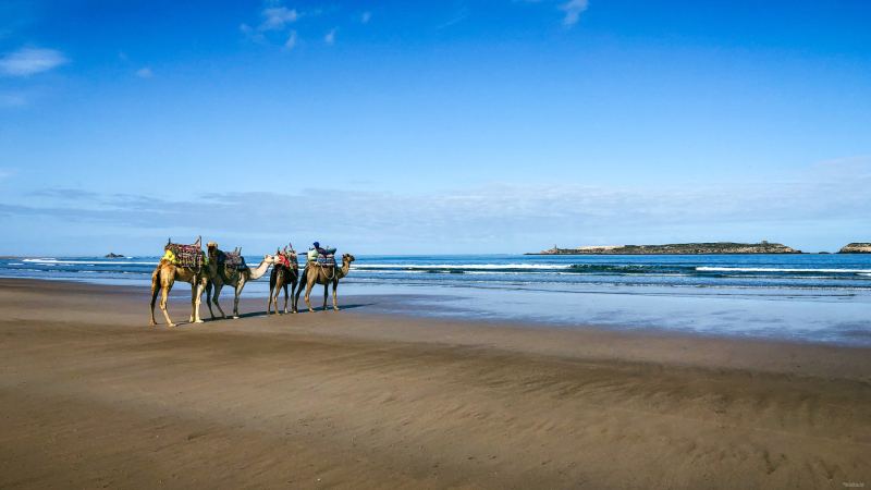 Strand von Essaouira